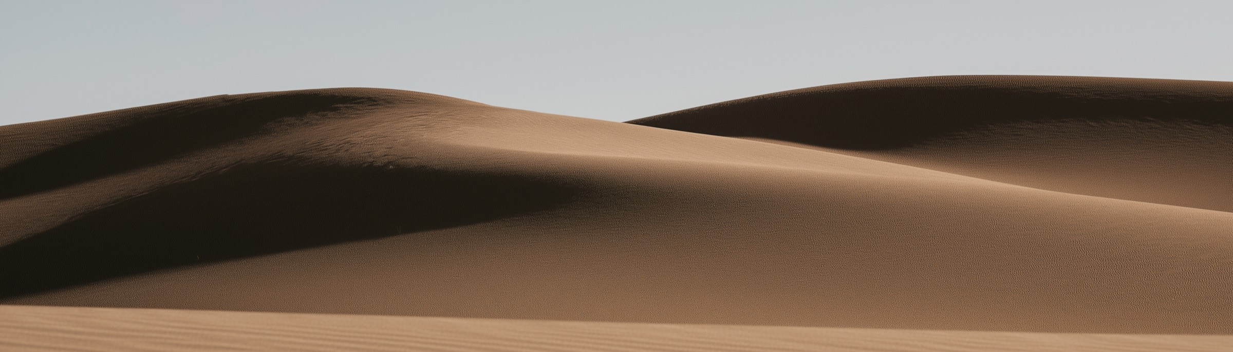 Sculptural desert dunes under a pale sky — Arca Risk Management