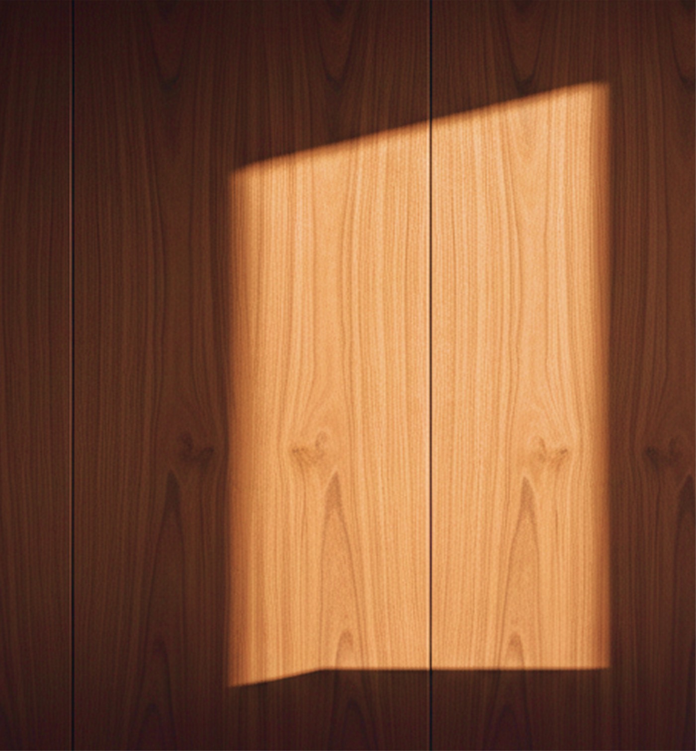 Daylight falling across walnut panelling — Arca Risk Management